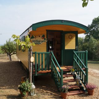 NAWALO Waldkindergartenwagen mit Eingangstreppe, Frontansicht