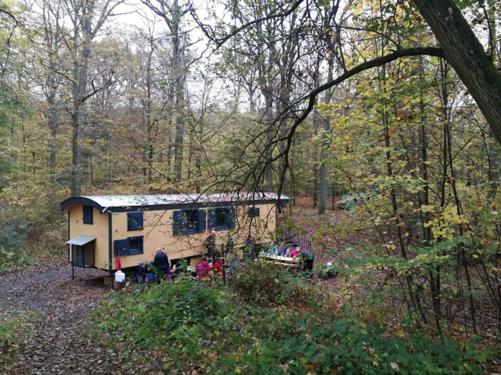 NAWALO Waldkindergartenwagen im Laubwald