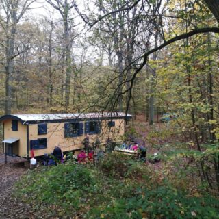 NAWALO Waldkindergartenwagen im Laubwald