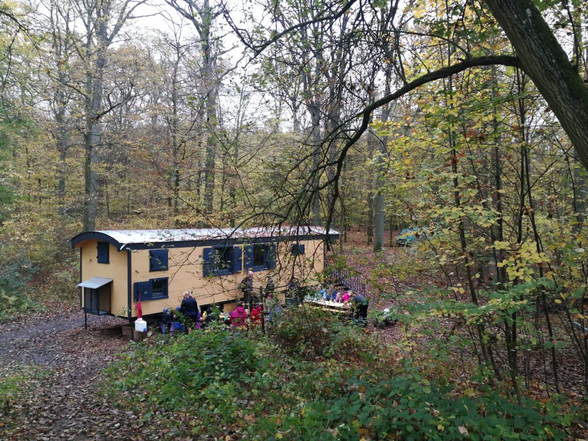 NAWALO Waldkindergartenwagen im Laubwald