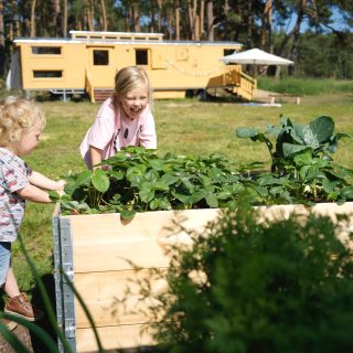 Kinder am Hochbeet vor einem NAWALO Waldkindergartenwagen